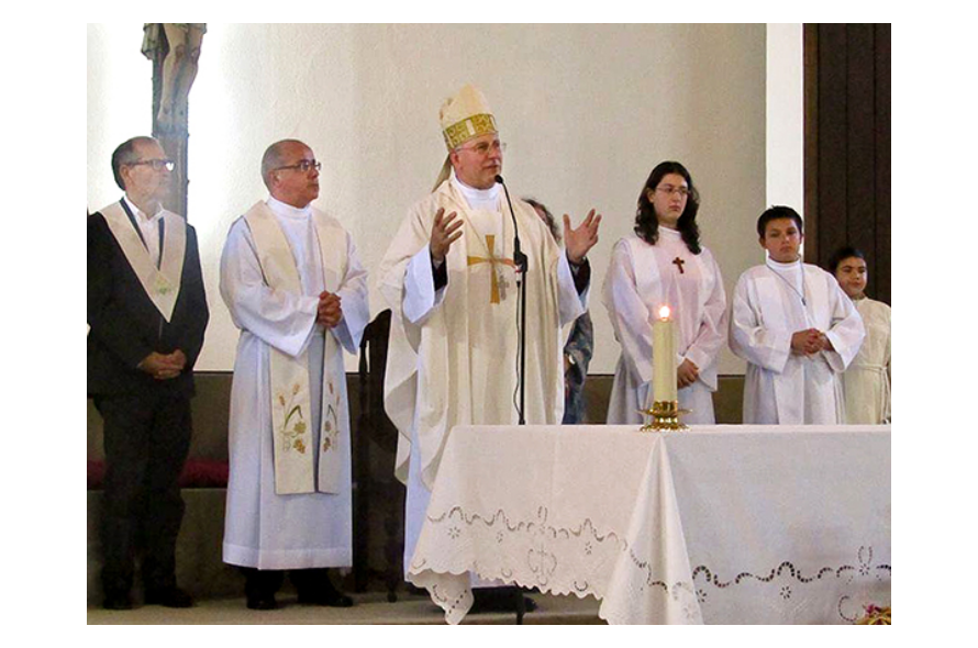 O bispo  Sebo Crisálida